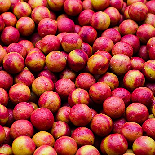 Boilies Raspberry Ripple 15mm 100g bag SESSON PACK - Image 5