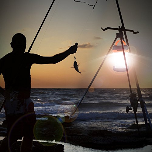 Camping Light, TaoTronics LED Fishlight Lantern for Hiking Fishing Outdoor Adventures Emergencies Outages (30 lumens Collapsible Water Resistant) - Image 6