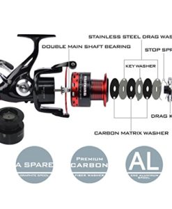 KastKing Sharky Premium Baitfeeder Spinning Fishing Reel with shielded stainless steel 10+1 BB,Best Baitfeeder Spinning Reels for Inshore & Saltwater Bait Fishing - Image 4