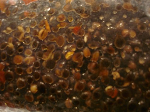 Natural Hemp + Chilli Particles Mix. PVA Friendly Prepared Bait - 400g Includes FREE PVA Bag - Image 4