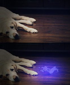 UV Torch, Vansky® Pets Black Light 12Led Lights UV Dogs/Cats Urine Detector, Ultraviolet Flashlight Find Dry Stains on Carpets/Rugs/Floor, 3 x AAA Batteries Included - Image 4