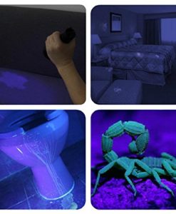 UV Torch, Vansky® Pets Black Light 12Led Lights UV Dogs/Cats Urine Detector, Ultraviolet Flashlight Find Dry Stains on Carpets/Rugs/Floor, 3 x AAA Batteries Included - Image 5