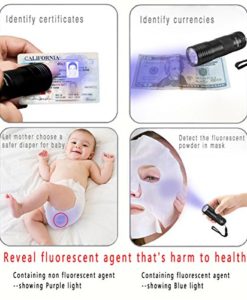 UV Torch, Vansky® Pets Black Light 12Led Lights UV Dogs/Cats Urine Detector, Ultraviolet Flashlight Find Dry Stains on Carpets/Rugs/Floor, 3 x AAA Batteries Included - Image 6