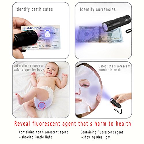 UV Torch, Vansky® Pets Black Light 12Led Lights UV Dogs/Cats Urine Detector, Ultraviolet Flashlight Find Dry Stains on Carpets/Rugs/Floor, 3 x AAA Batteries Included - Image 7